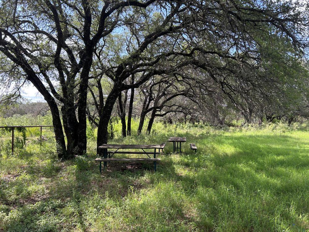 10 ACRES OLD FERRY Rd, Spicewood, TX 78669
