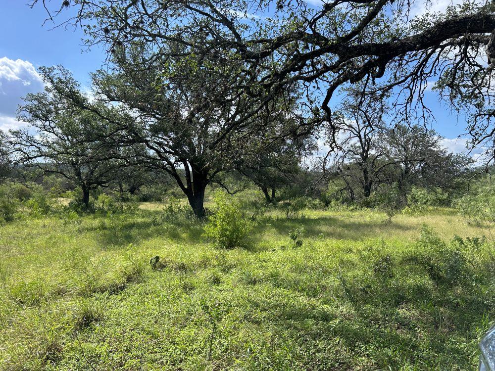 10 ACRES OLD FERRY Rd, Spicewood, TX 78669