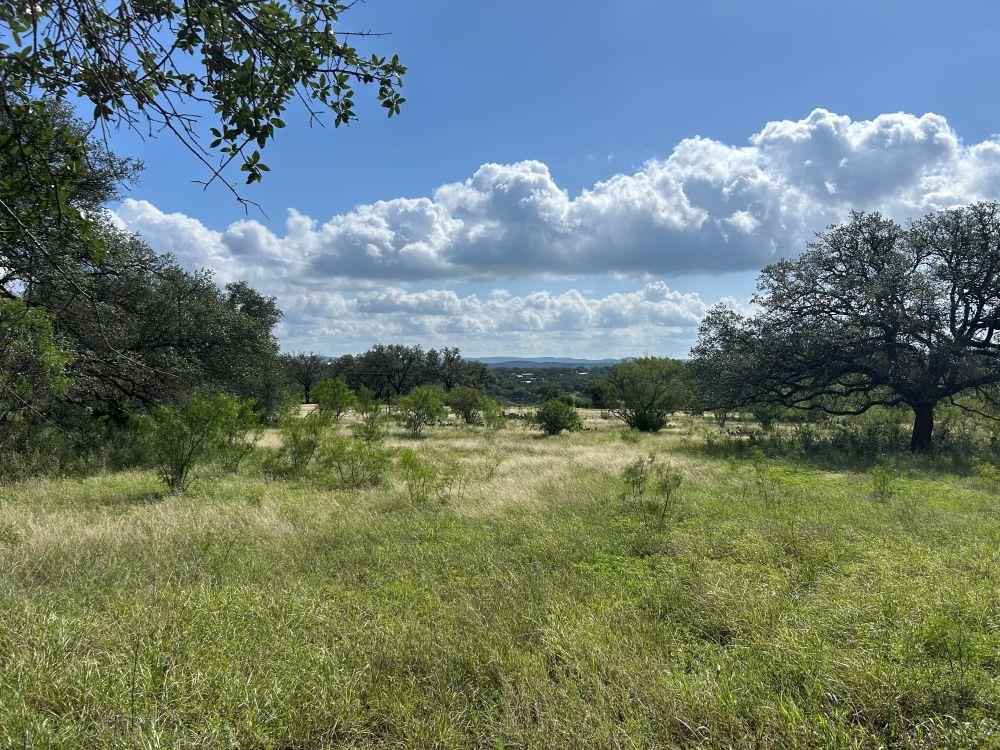 10 ACRES OLD FERRY Rd, Spicewood, TX 78669