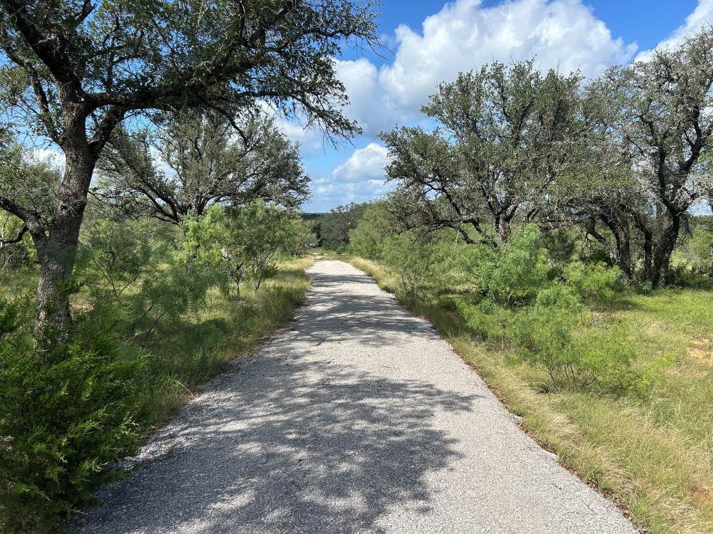 10 ACRES OLD FERRY Rd, Spicewood, TX 78669