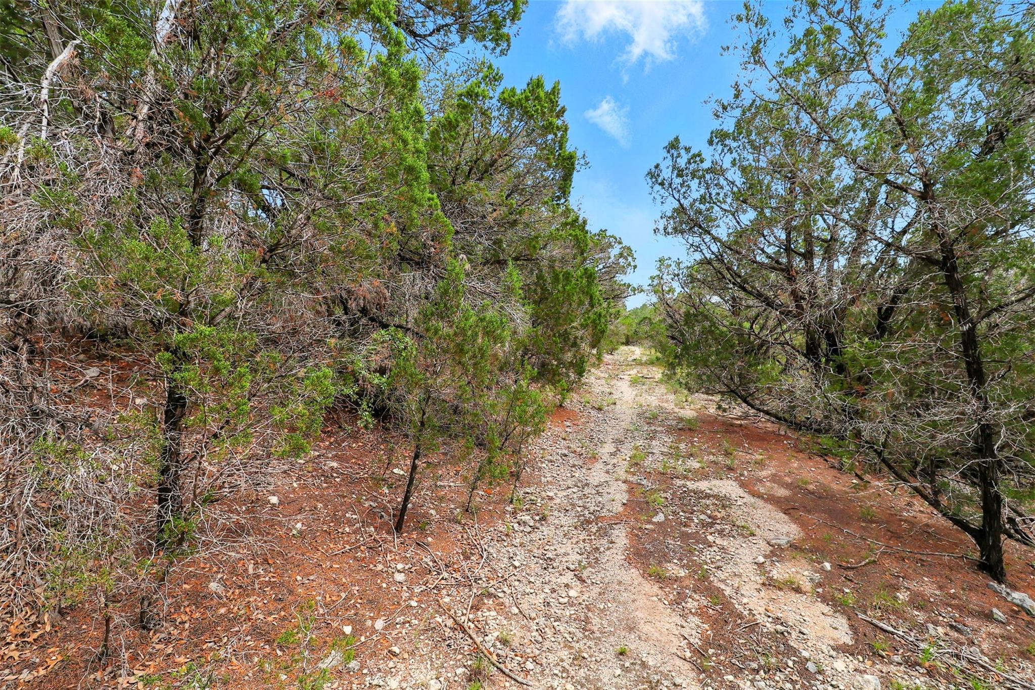 14618 Mansfield Dam Ct # 4, Austin, TX 78734