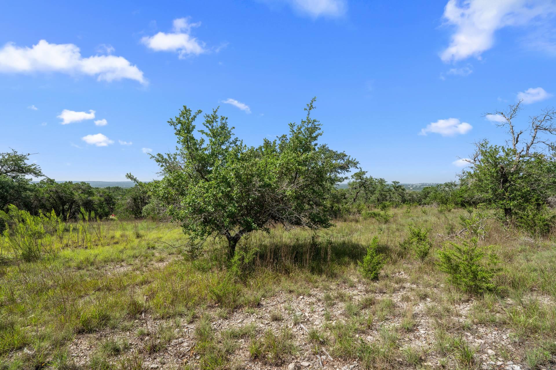 Lot G (Subdivided) Mirela Ann Rd, Dripping Springs, TX 78620