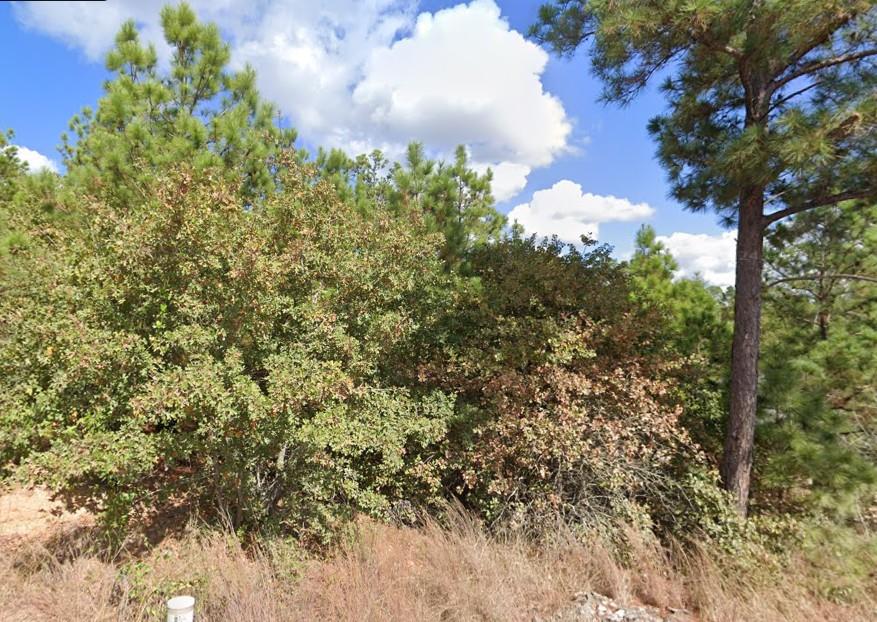 TBD Makaha St, Bastrop, TX 78602