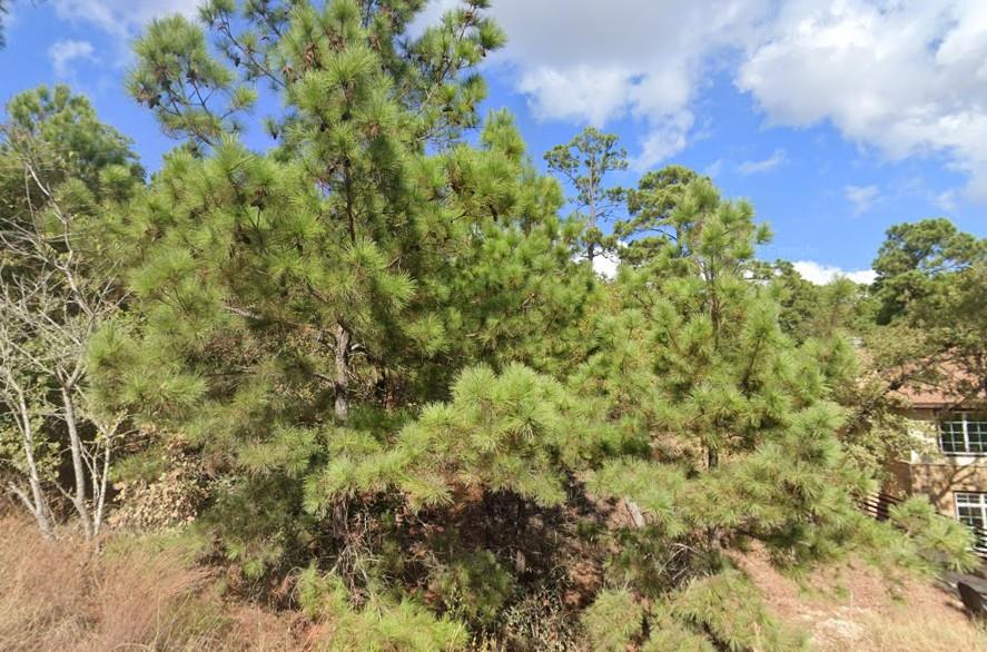 TBD Makaha St, Bastrop, TX 78602