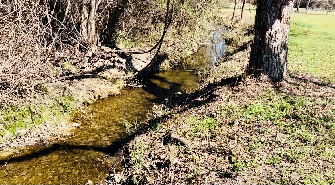 303 W Broade St, Leander, TX 78641