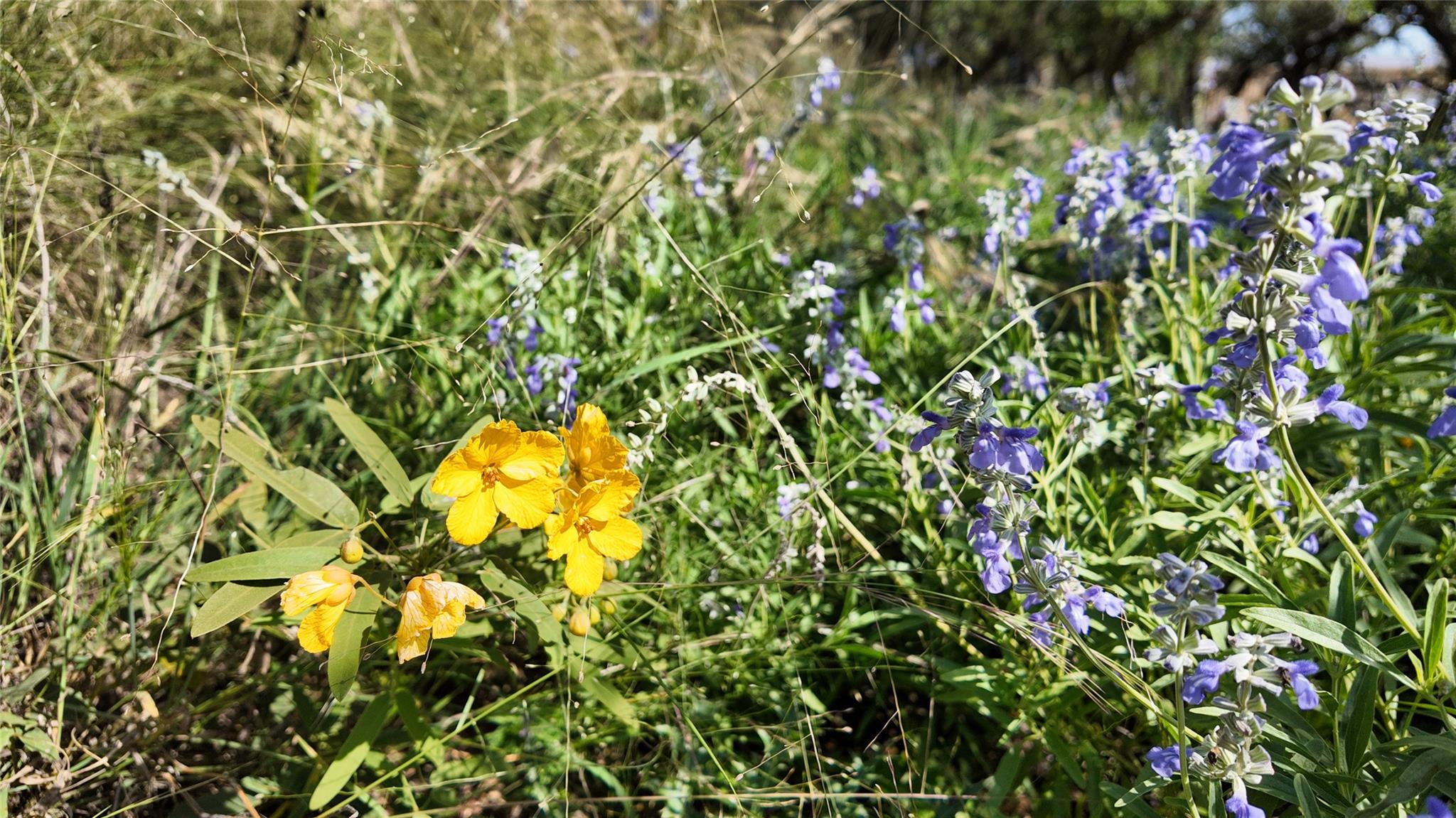 857 NW Dallas Josie Rd, Harper, TX 78631