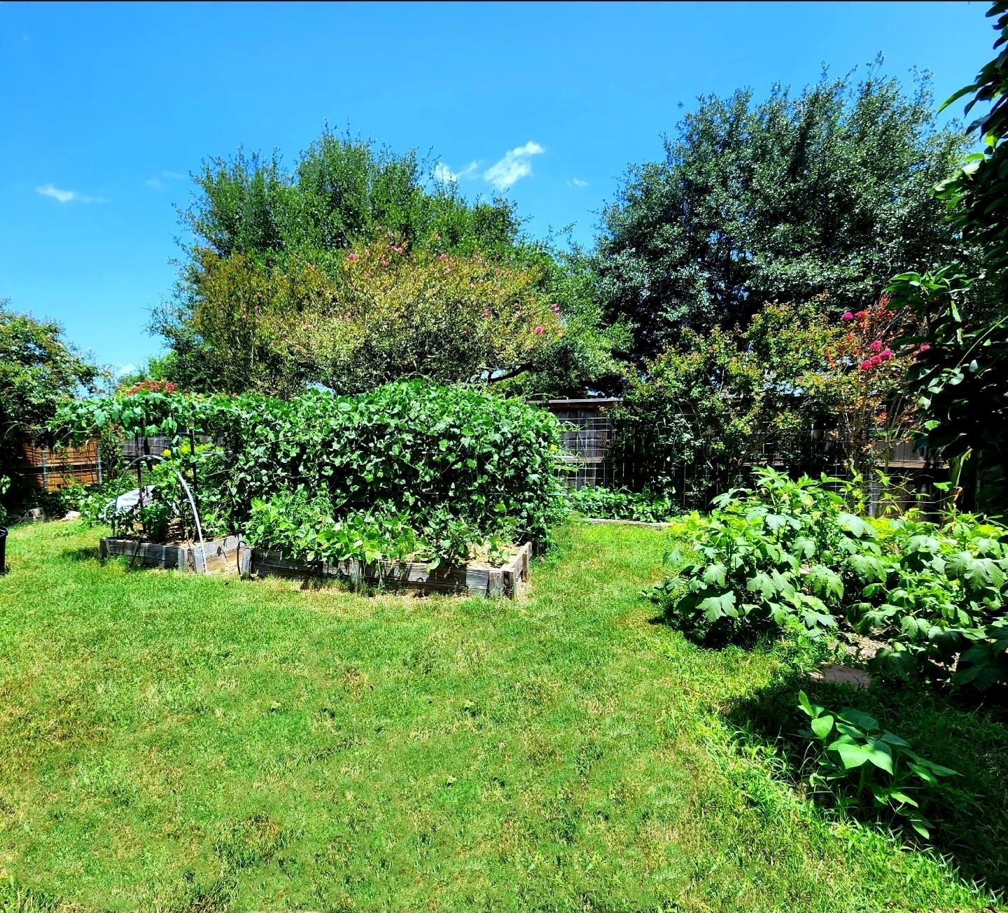 203 Pheasant Trl, Bastrop, TX 78602