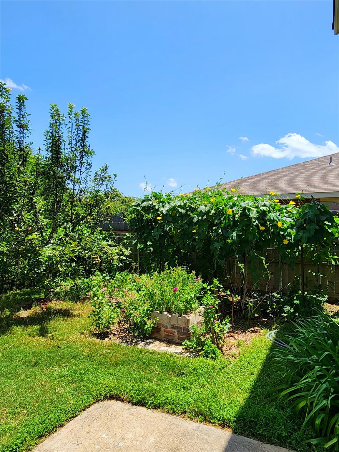 203 Pheasant Trl, Bastrop, TX 78602