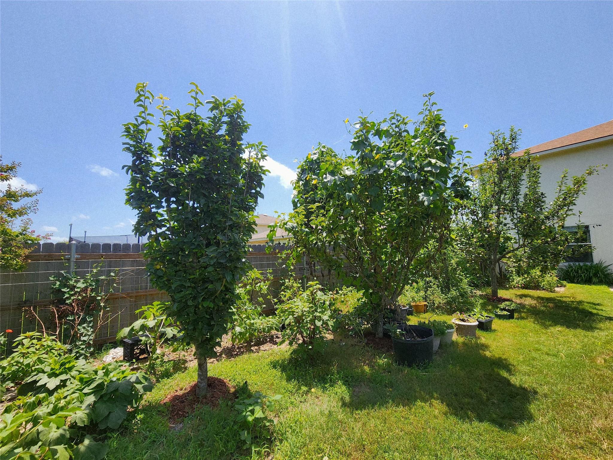 203 Pheasant Trl, Bastrop, TX 78602