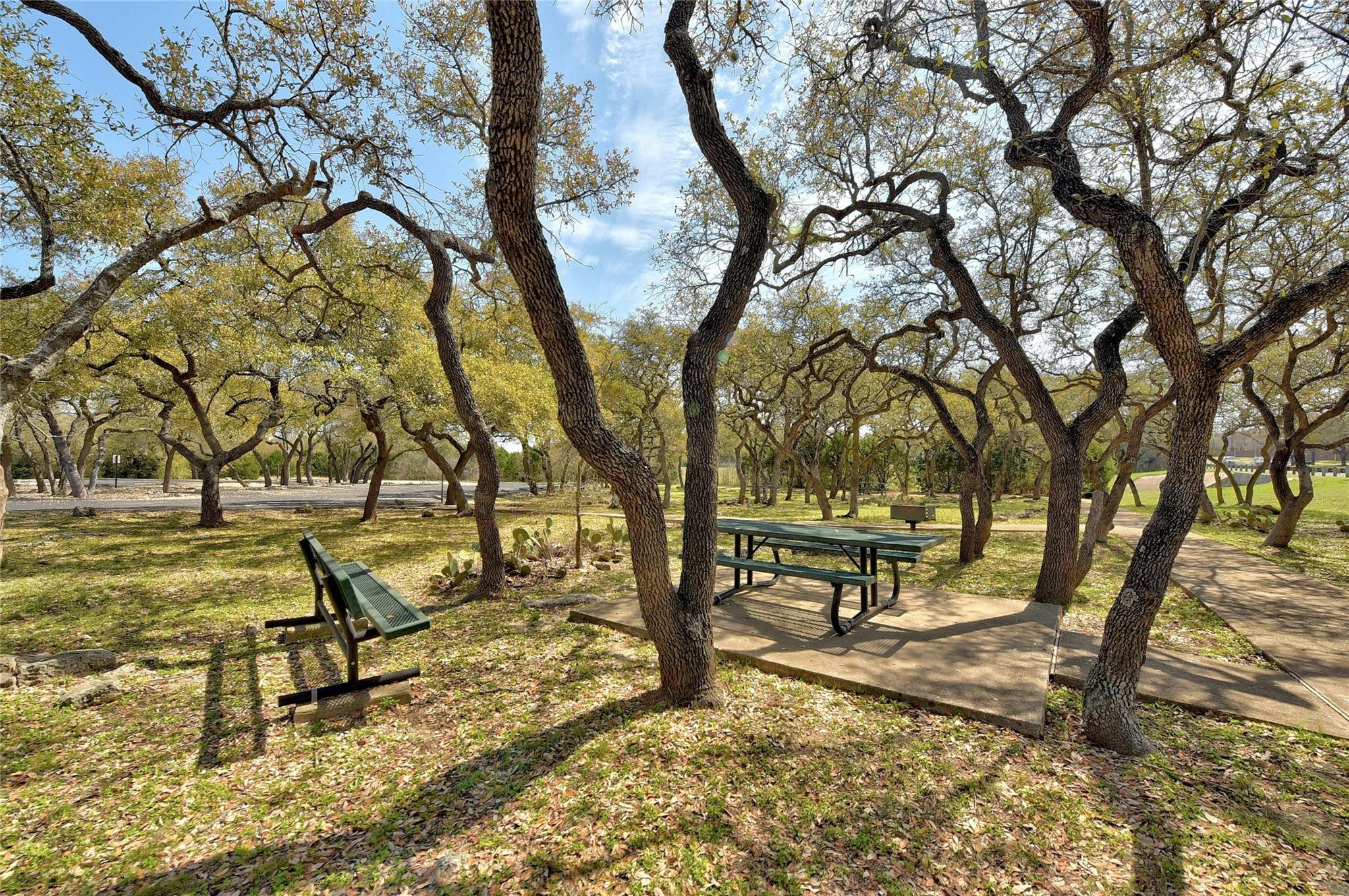 1204 Fall Creek Loop Dr, Austin, TX 78613
