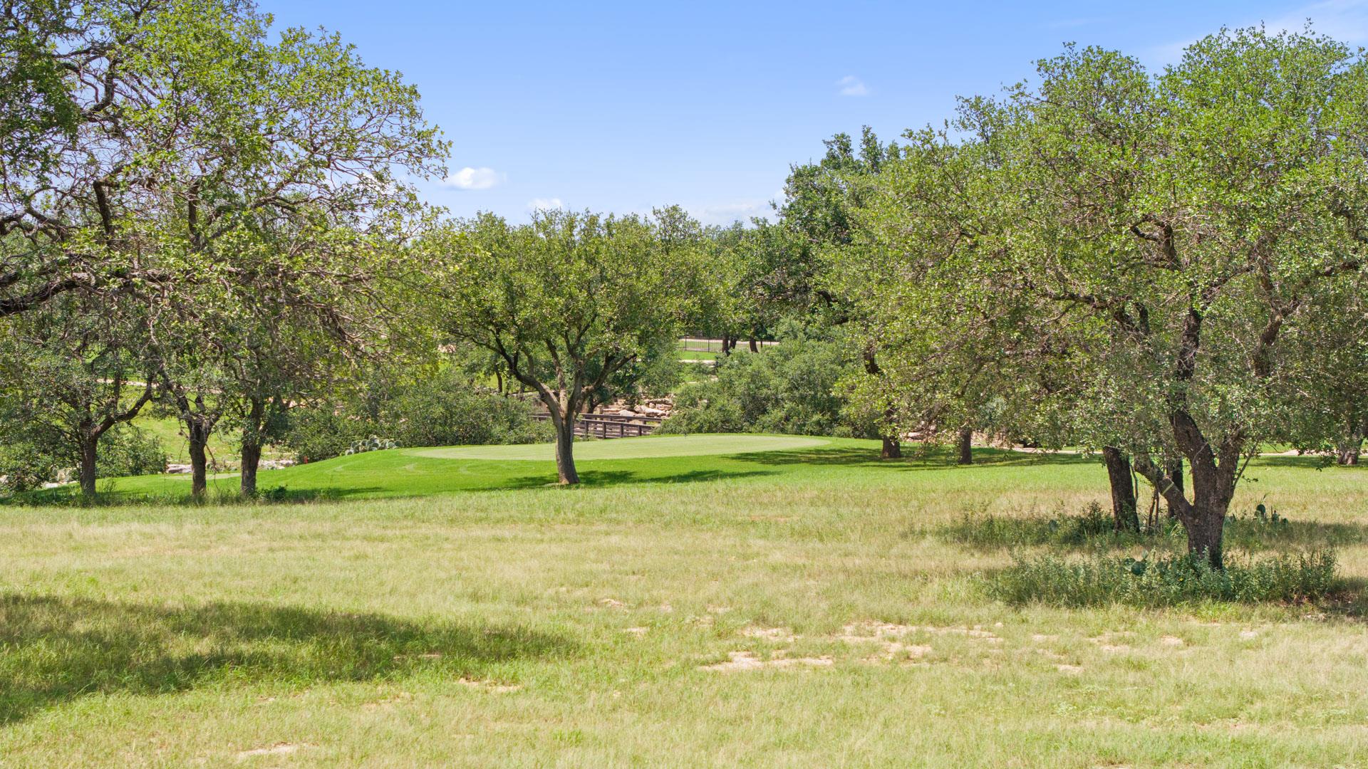 25308 CLIFF XING Xing, Spicewood, TX 78669