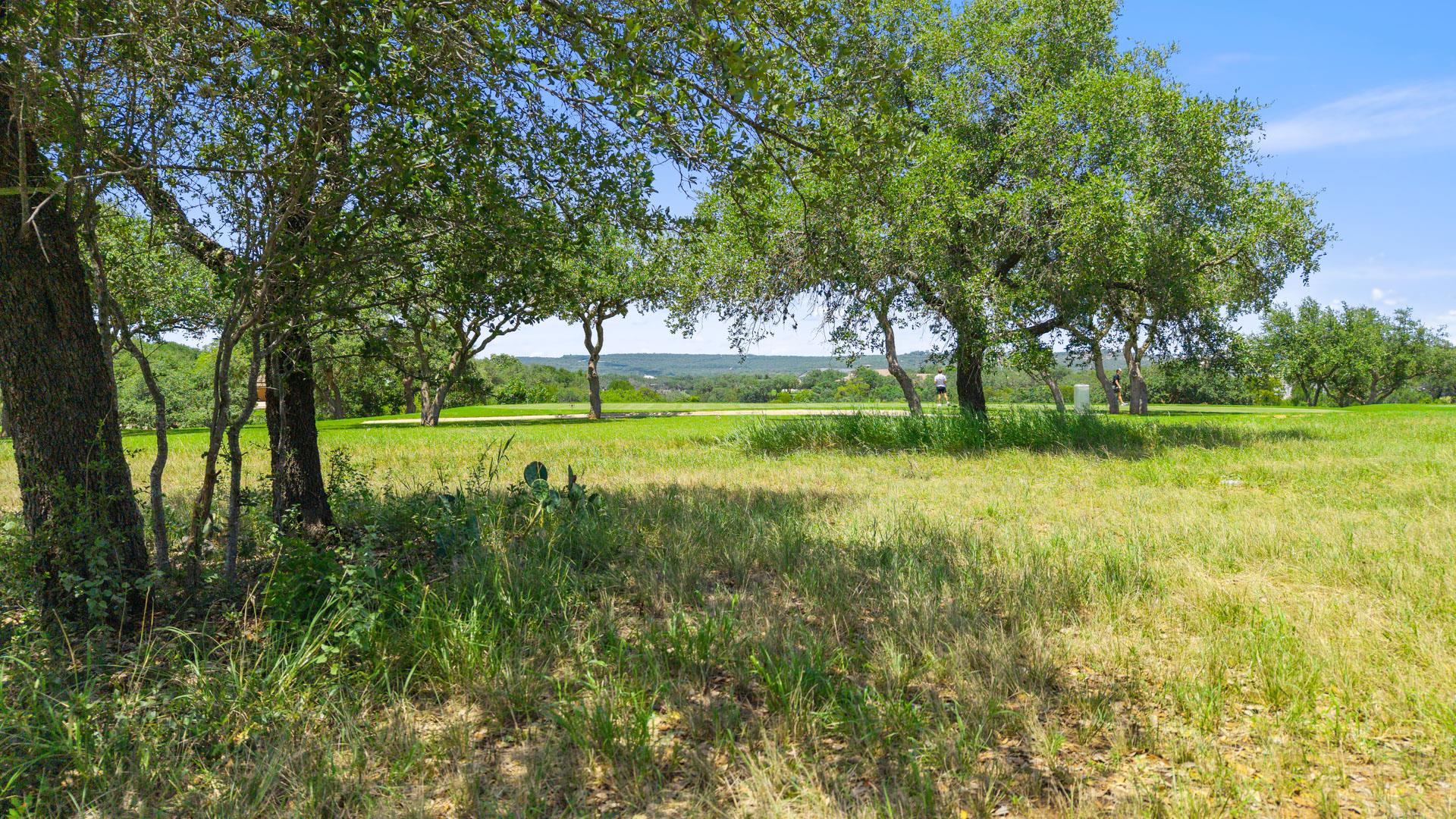 25308 CLIFF XING Xing, Spicewood, TX 78669