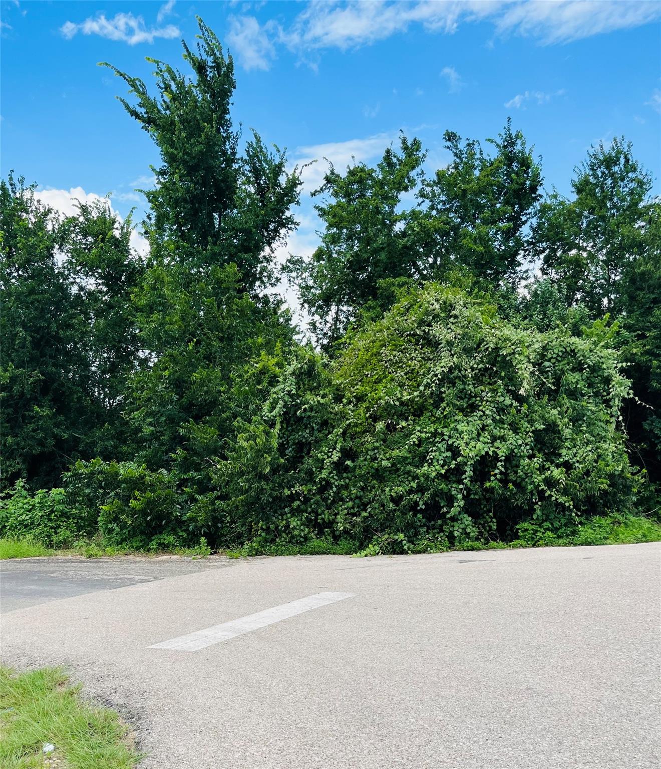 115 S FM 908, Rockdale, TX 76567