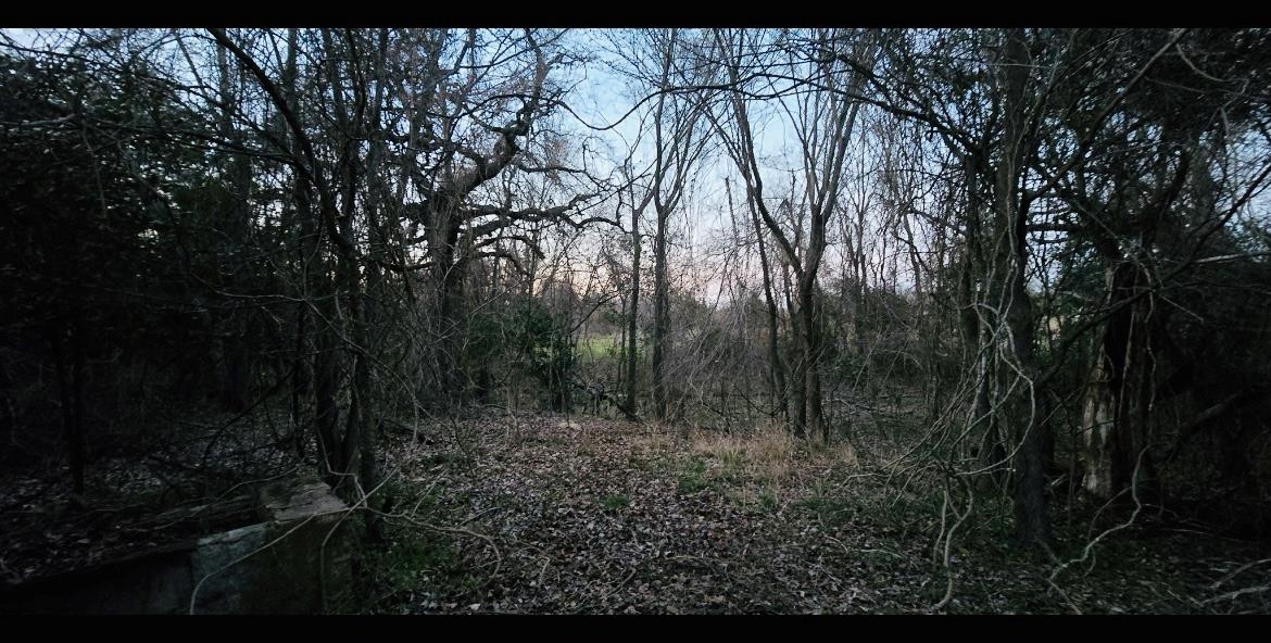 115 S FM 908, Rockdale, TX 76567