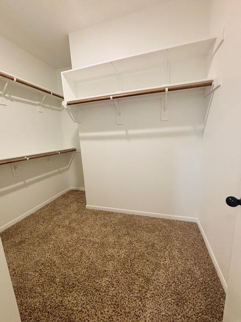 8114 Smoke Creek Ln, Temple, TX 76502