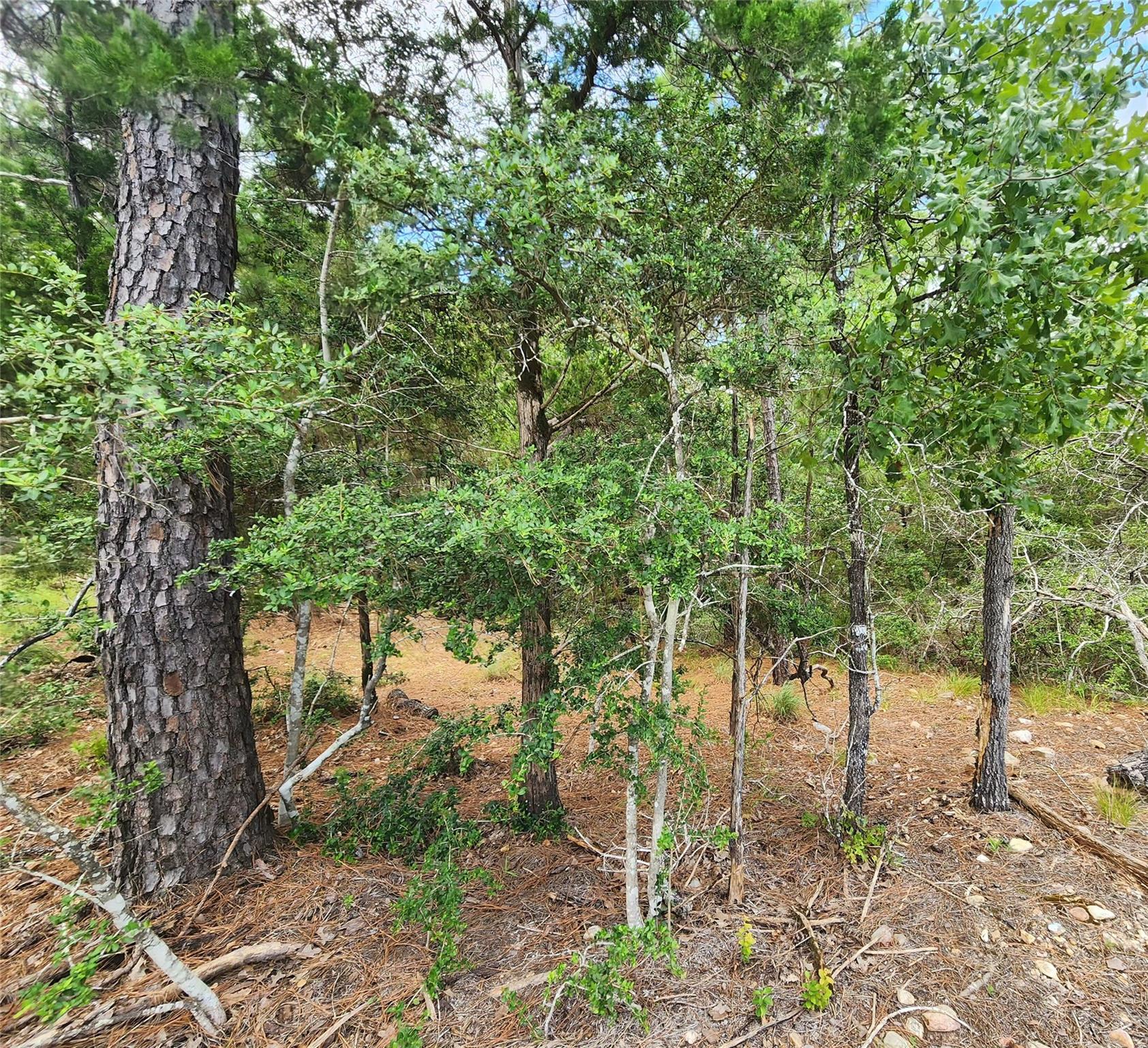 170 Molokini Dr, Bastrop, TX 78602