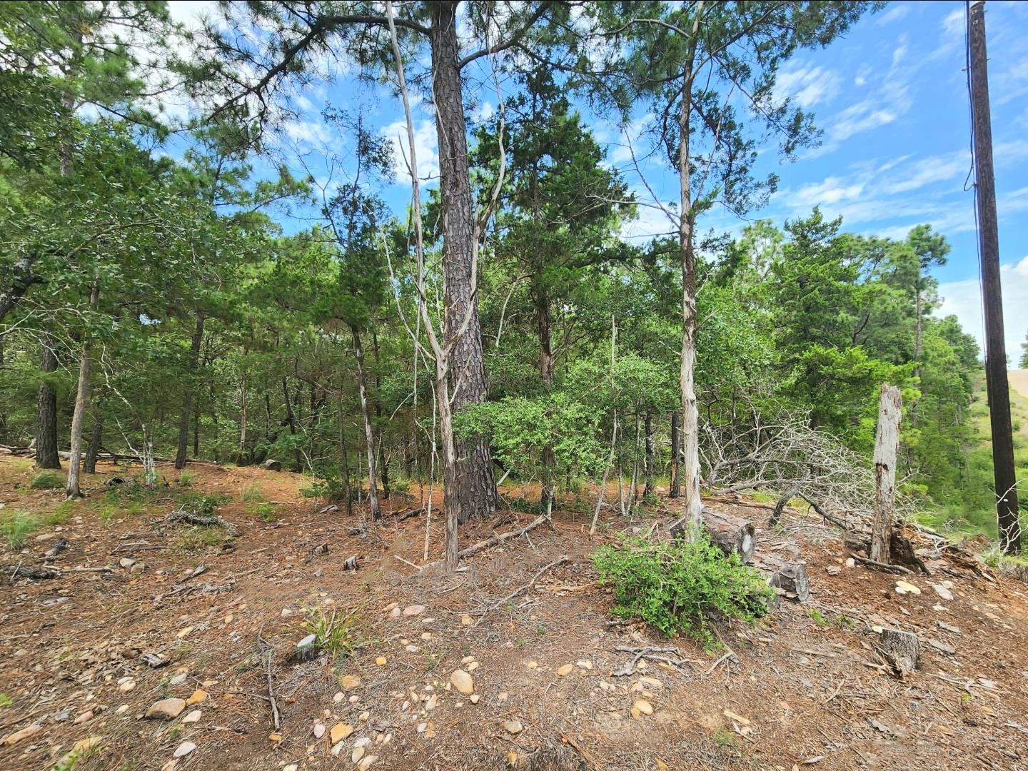 170 Molokini Dr, Bastrop, TX 78602