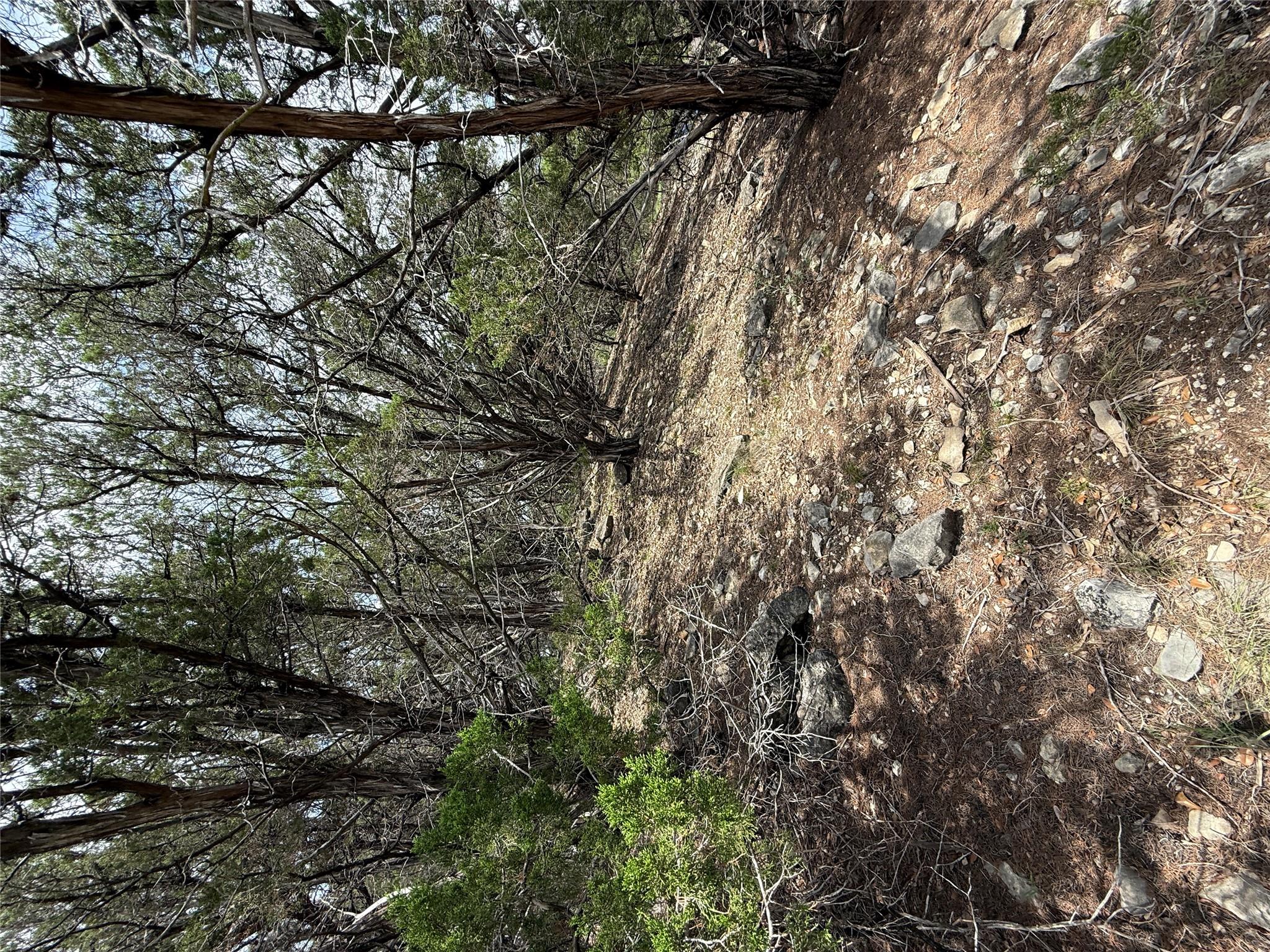 20809 Fawn Ridge Dr, Lago Vista, TX 78645