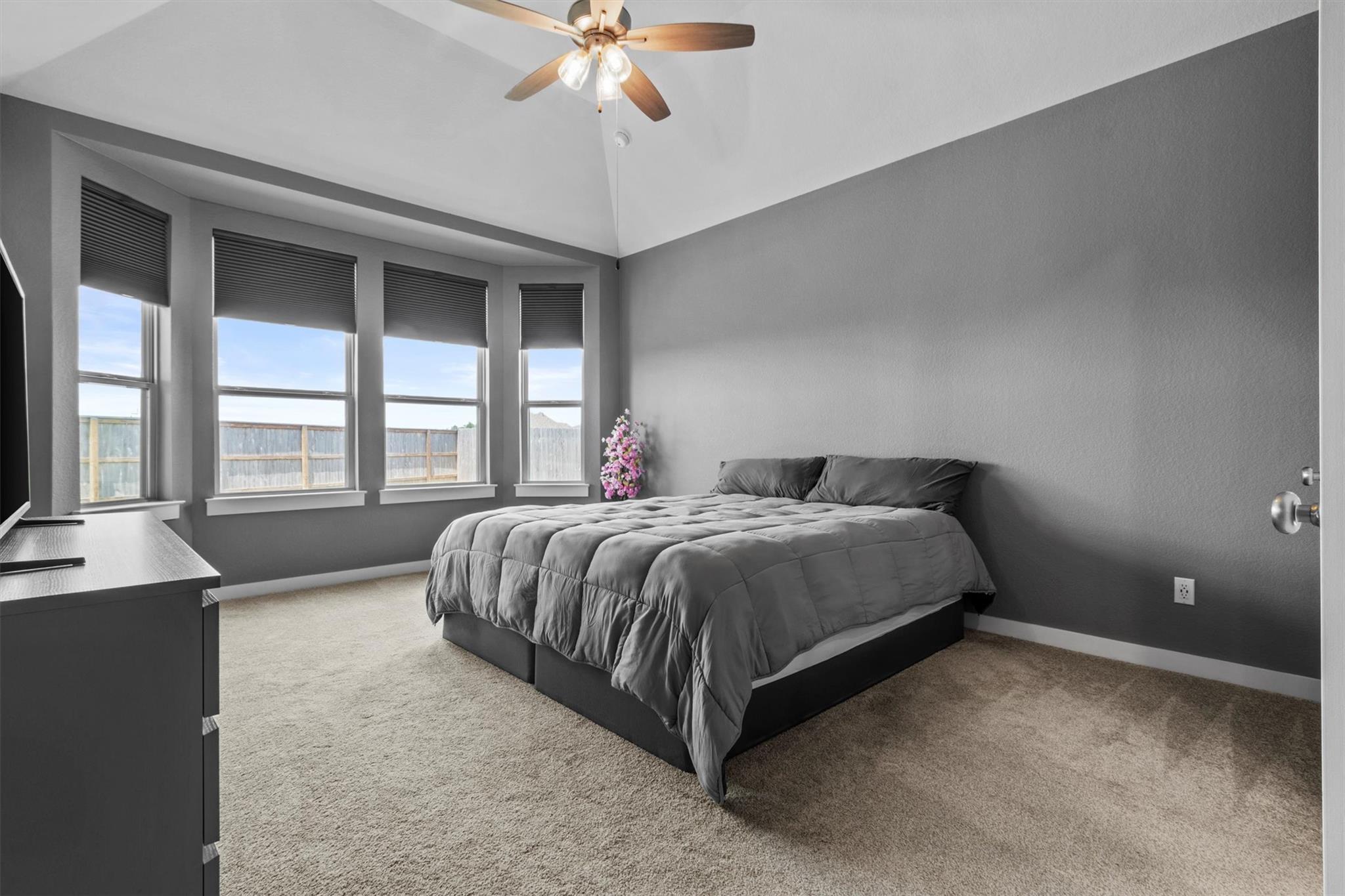 532 Calmo Ct, Liberty Hill, TX 78642