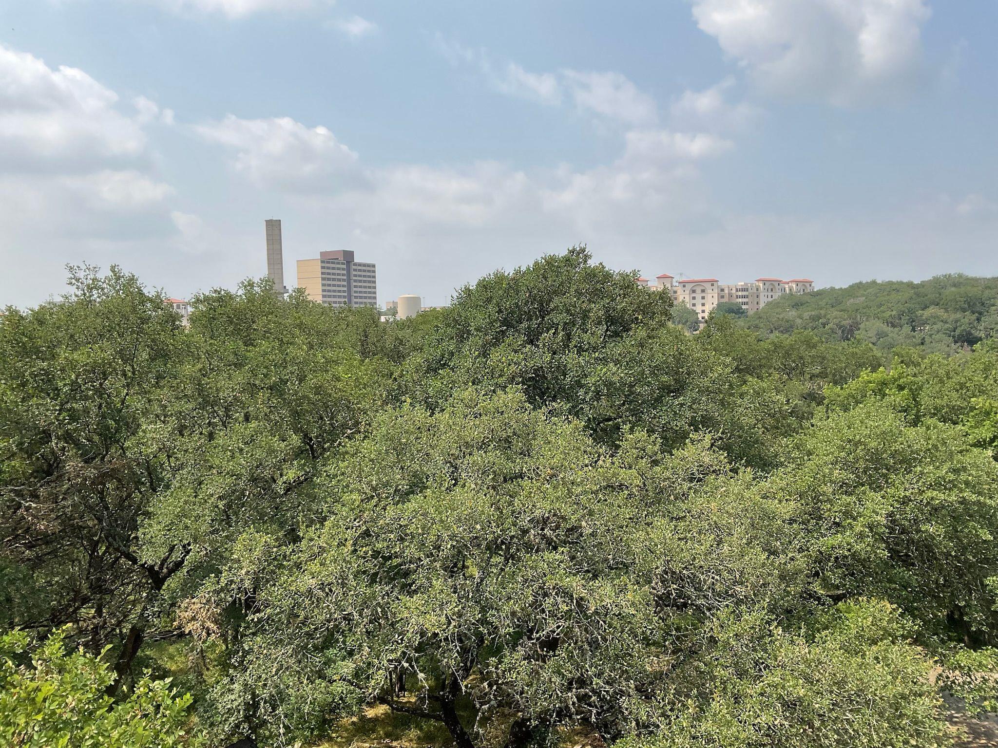 1013 Chestnut St # Building C, Unit 5, San Marcos, TX 78666