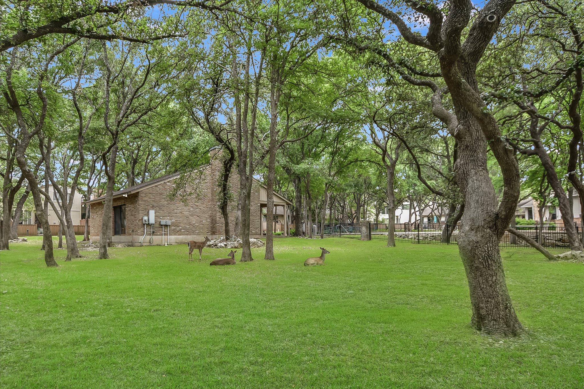 3729 Cima Serena Dr, Austin, TX 78759