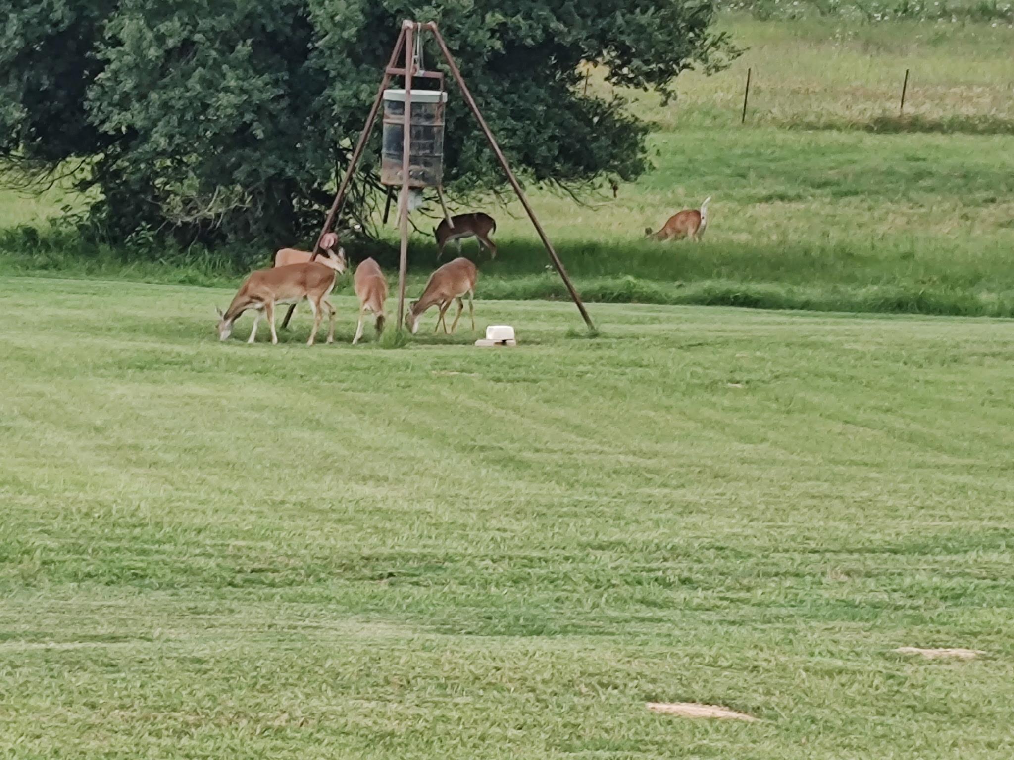 1122 County Road 344 Rd, Lexington, TX 78947