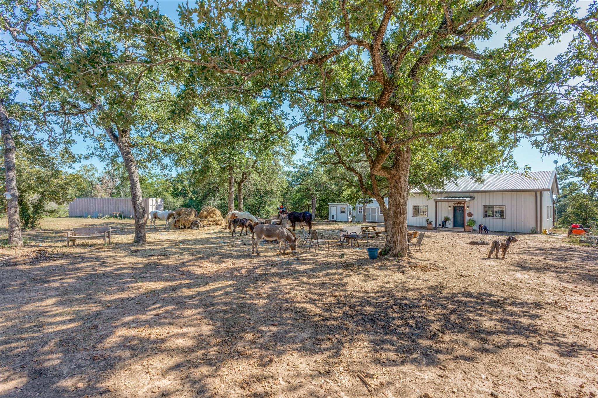 157 Cricket Hollow Ln, Smithville, TX 78957