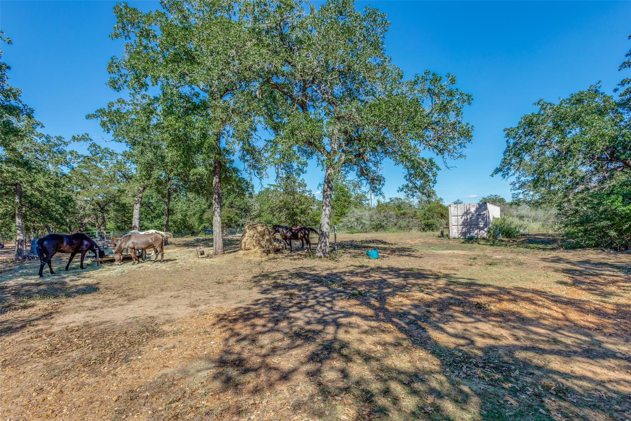 157 Cricket Hollow Ln, Smithville, TX 78957