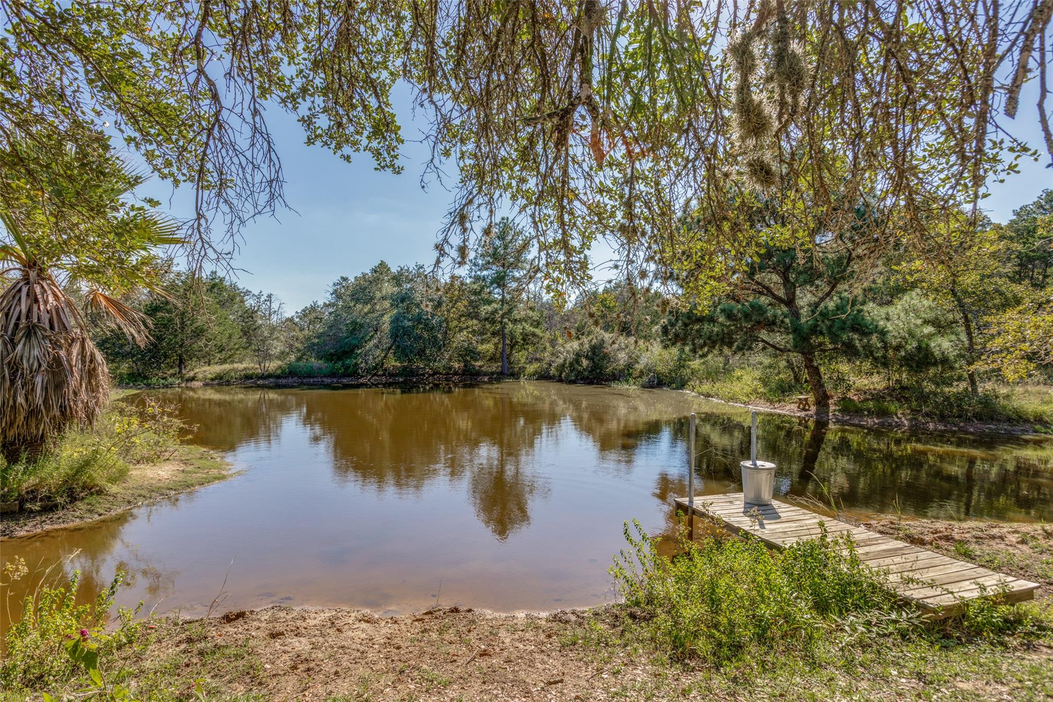 157 Cricket Hollow Ln, Smithville, TX 78957