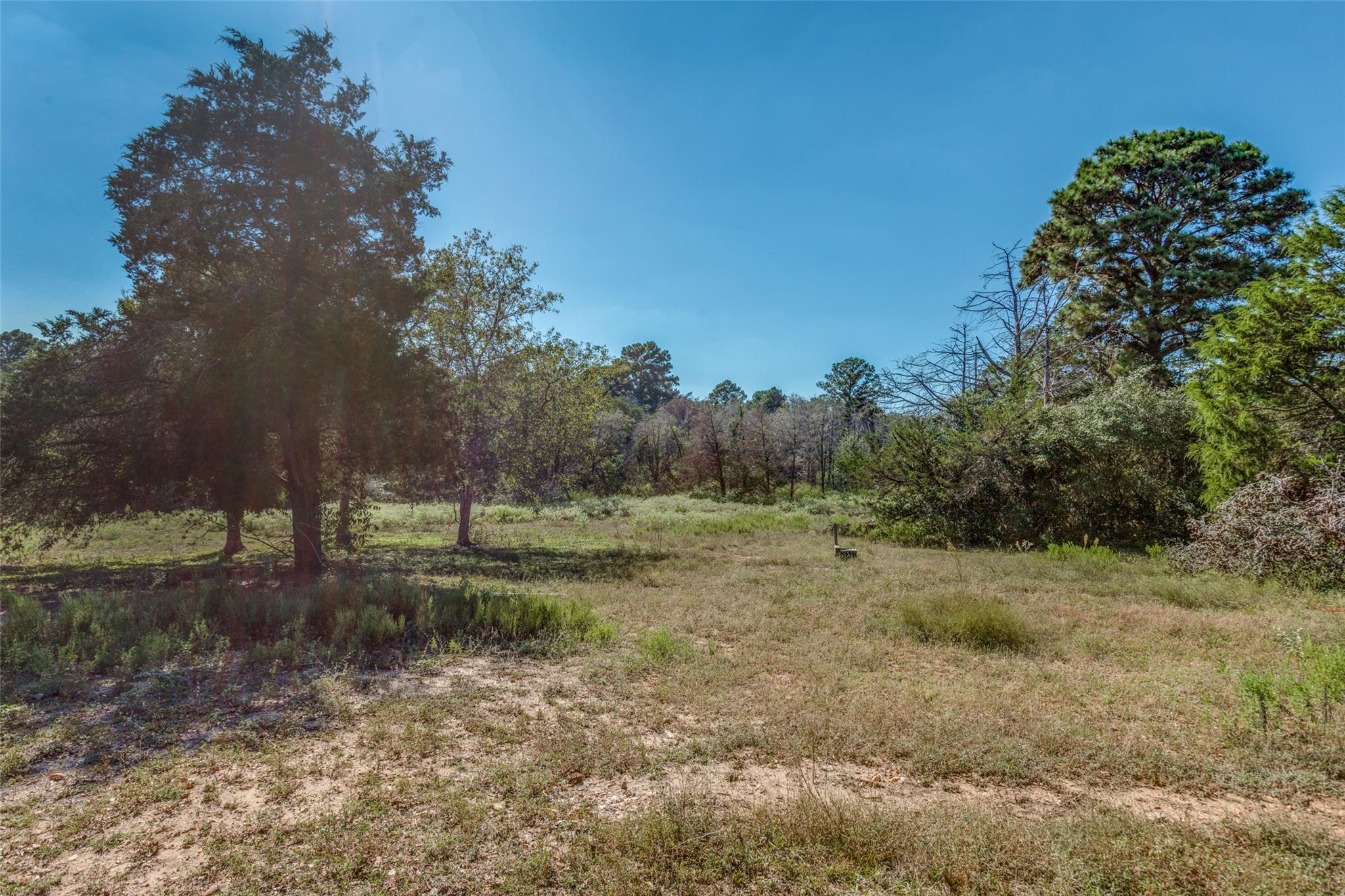 157 Cricket Hollow Ln, Smithville, TX 78957