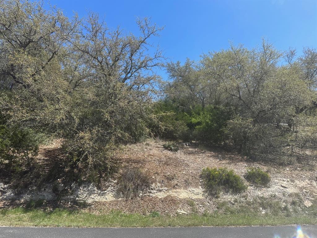 21719 Sierra Trl, Lago Vista, TX 78645