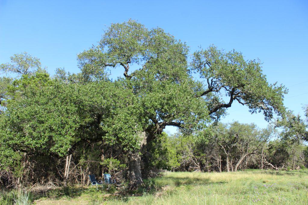 Lot-56 Travis Oaks Drive Dr, Marble Falls, TX 78654