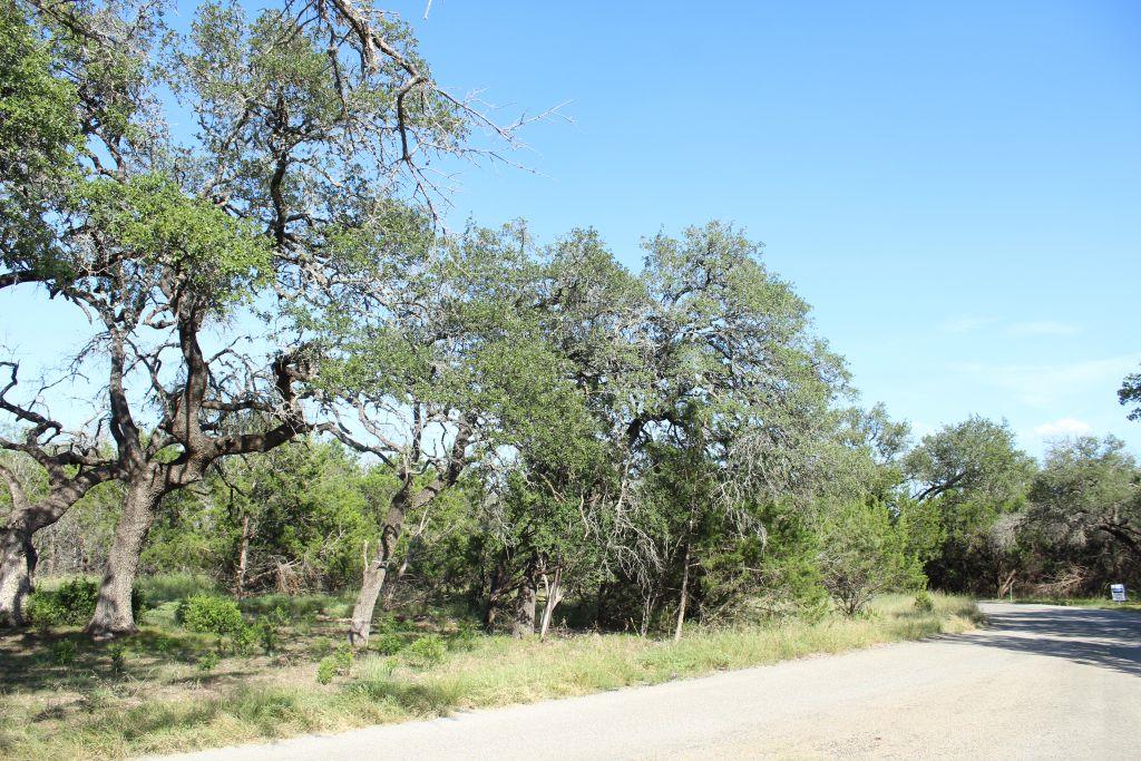 Lot-56 Travis Oaks Drive Dr, Marble Falls, TX 78654