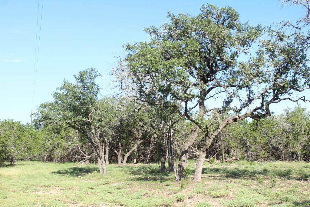 Lot-56 Travis Oaks Drive Dr, Marble Falls, TX 78654