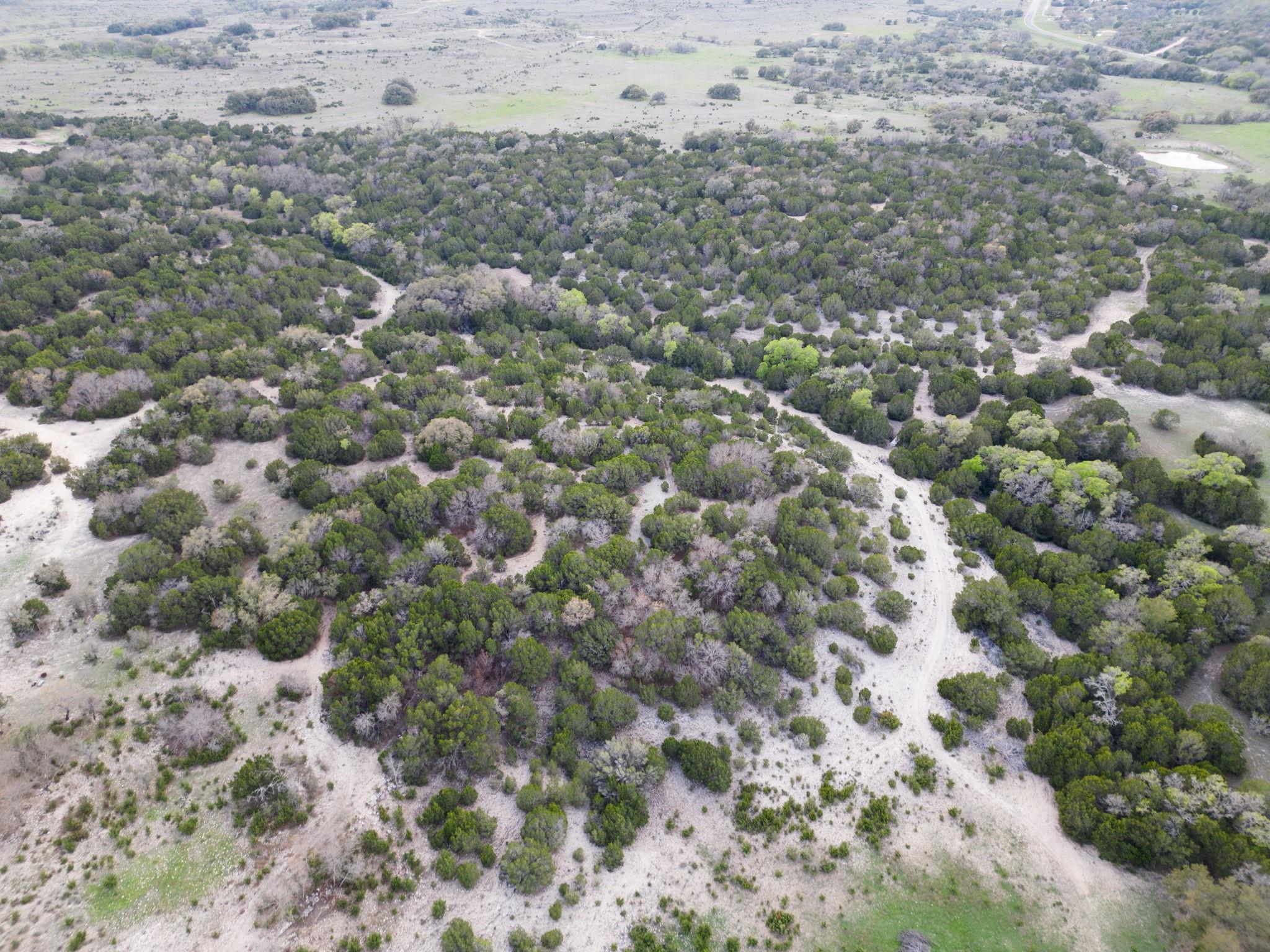 50.44 Acres County Road 3100, Lampasas, TX 76550