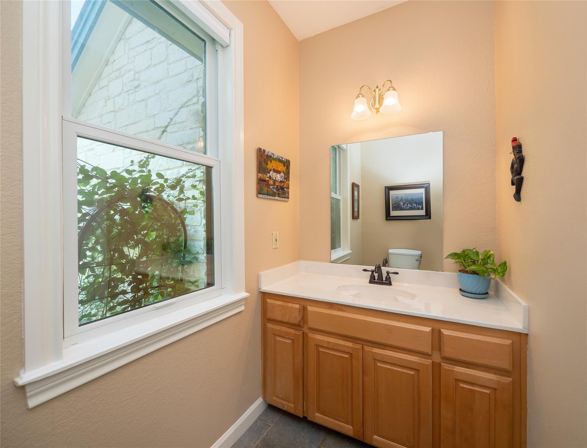 13503 & 13511 Carpenter Ln, Manchaca, TX 78652