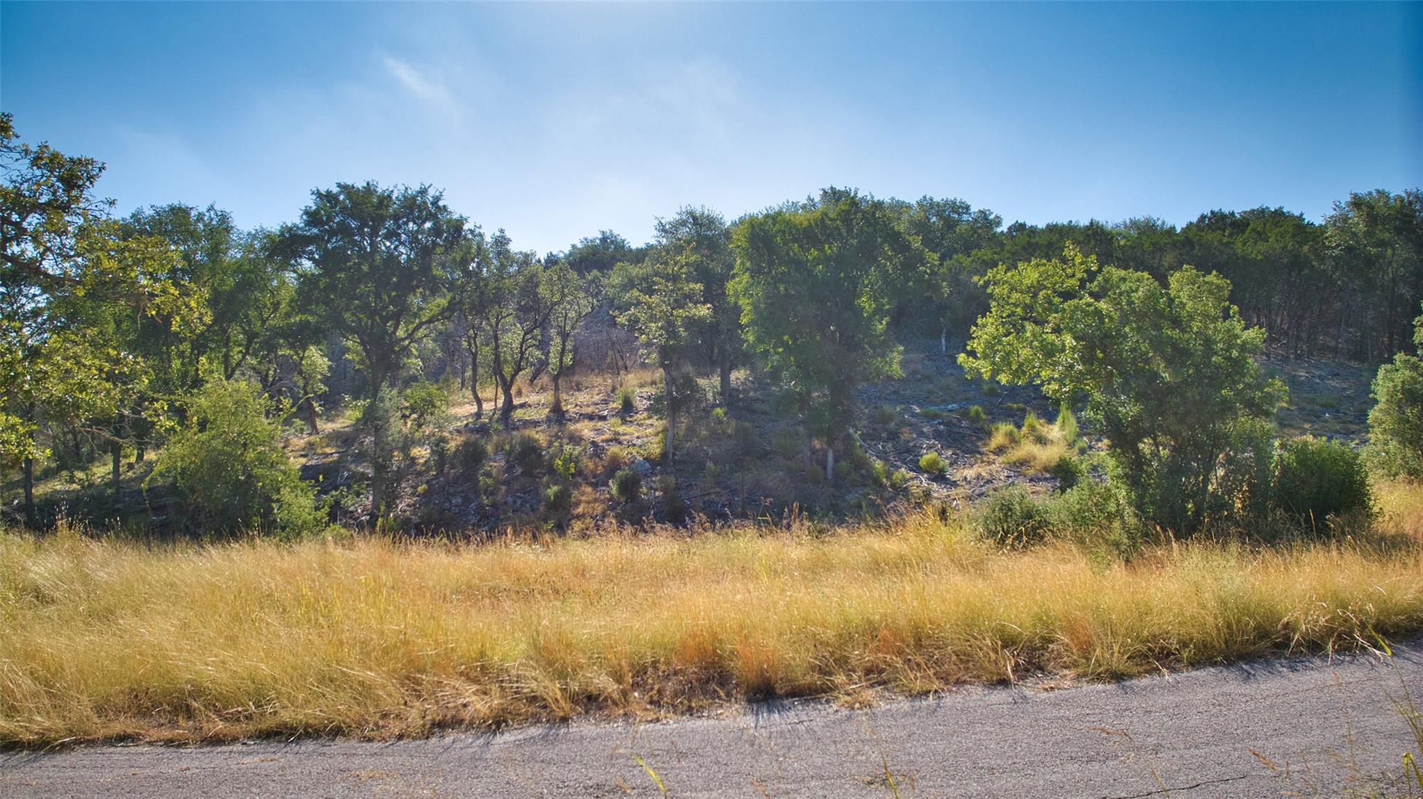 K12118 Buntline Special, Horseshoe Bay, TX 78657