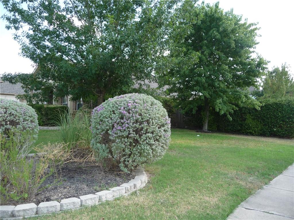 155 Hoot Owl Ln, Leander, TX 78641