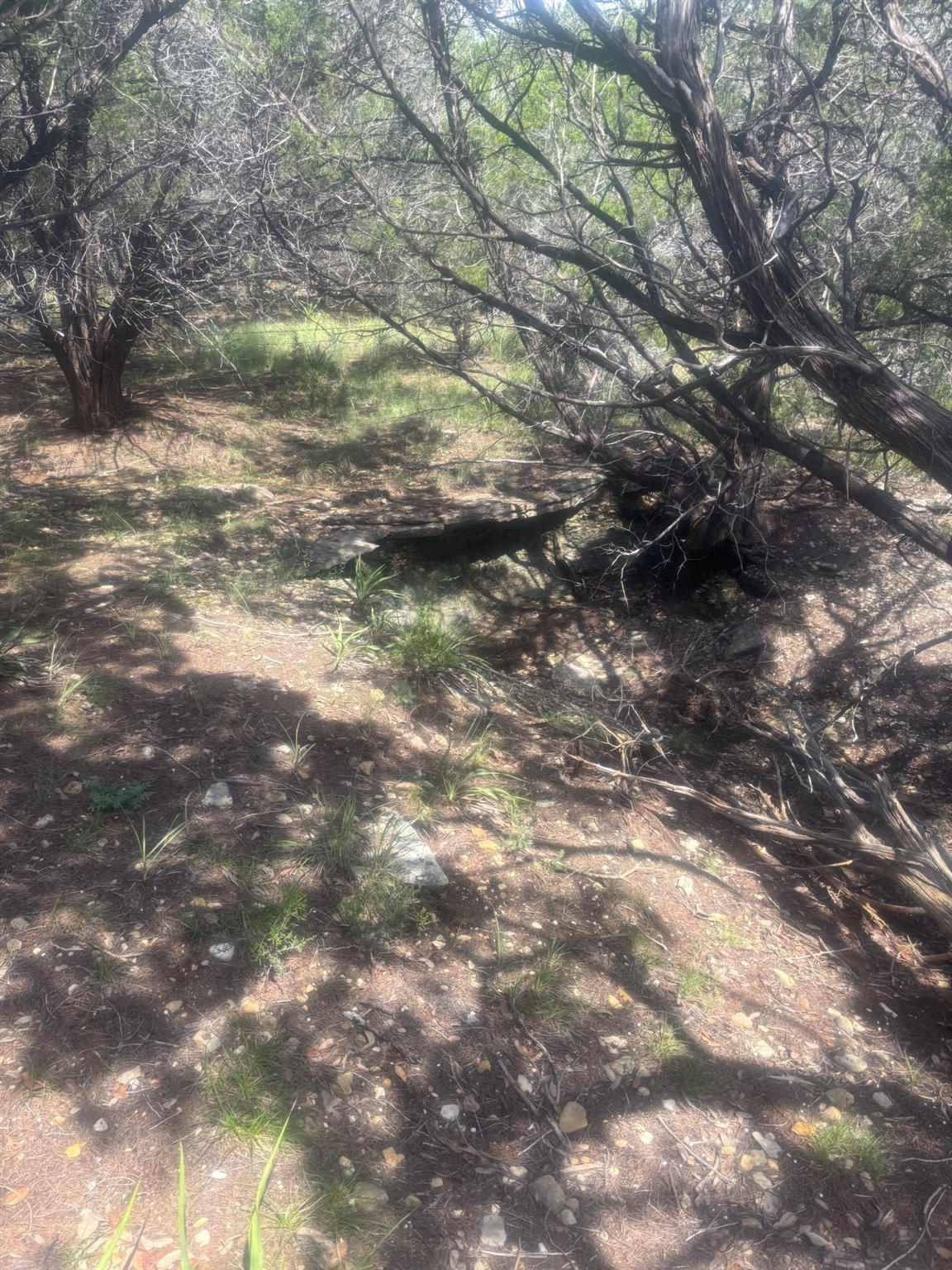 5001 CR 258, Liberty Hill, TX 78633