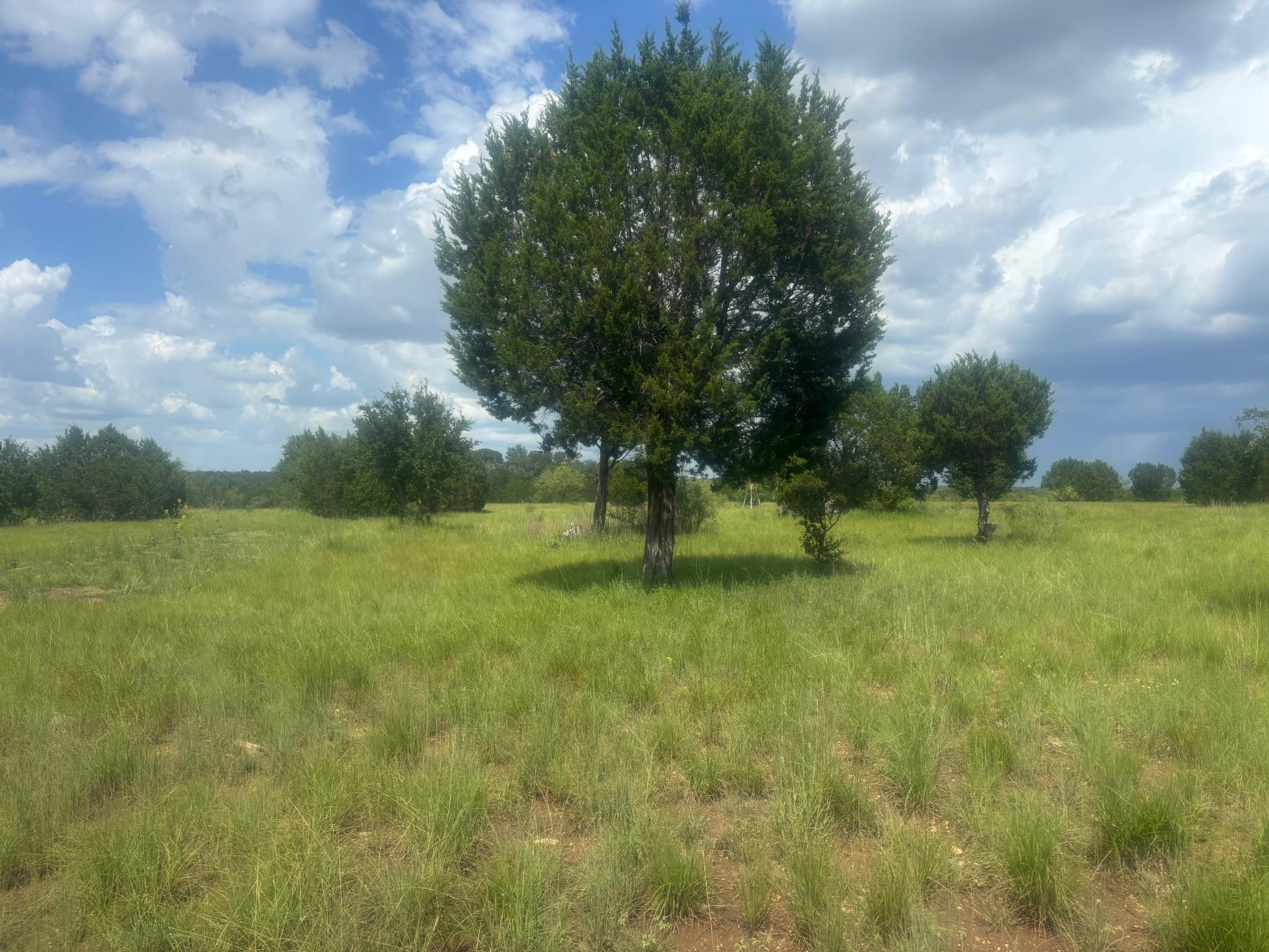 5001 CR 258, Liberty Hill, TX 78633