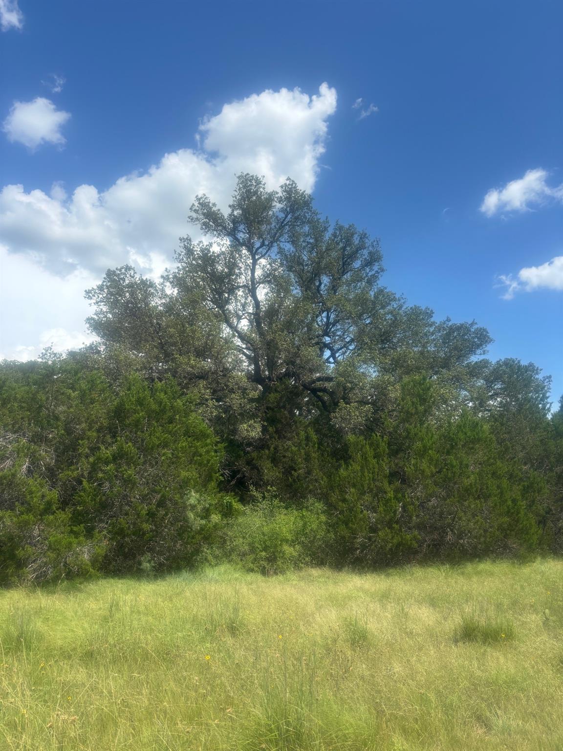 5001 CR 258, Liberty Hill, TX 78633