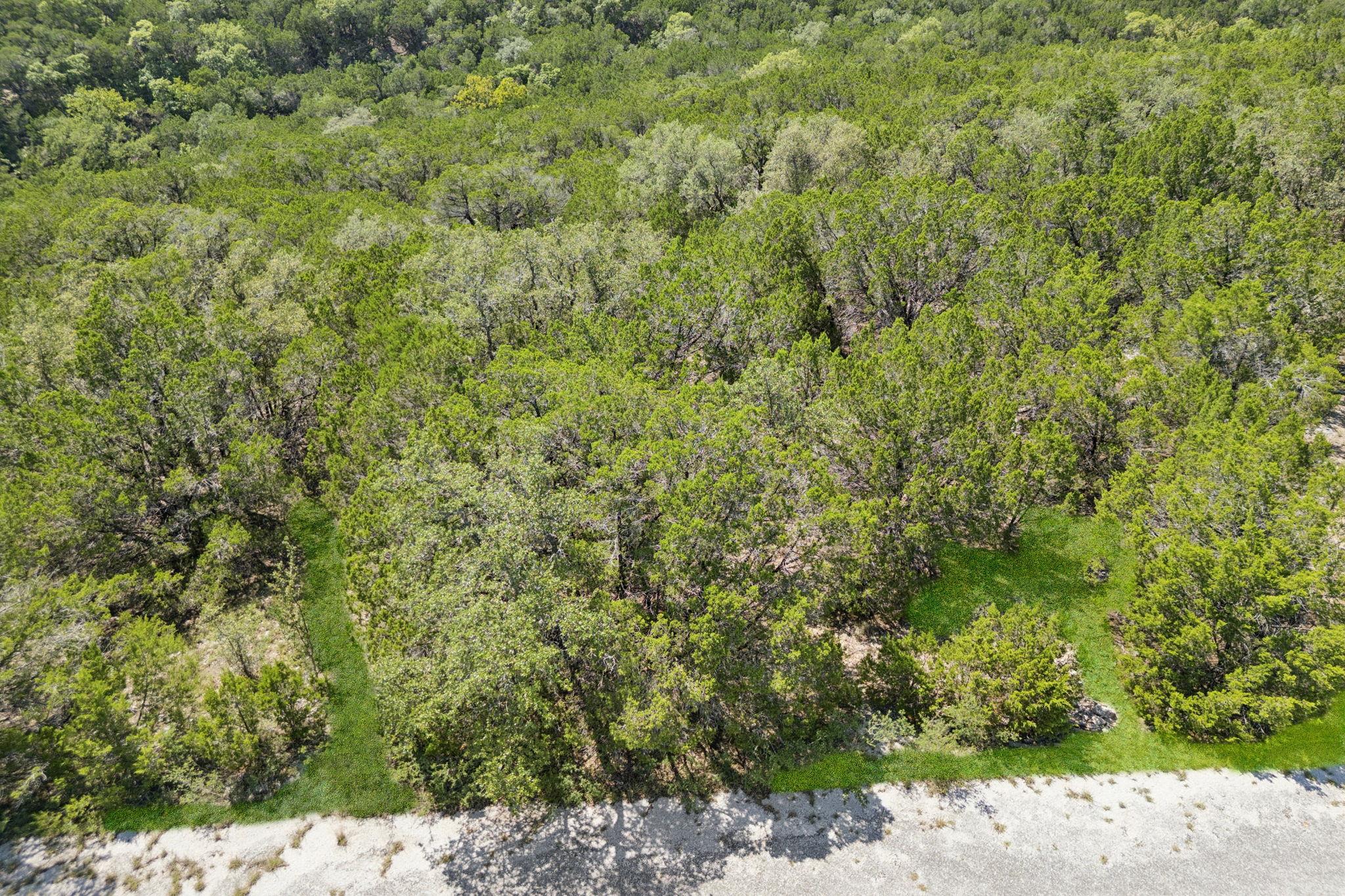 8402 Cedar Glen Cv, Lago Vista, TX 78645