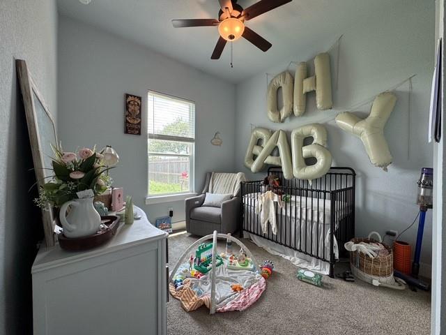 225 Western Ave, Bertram, TX 78605
