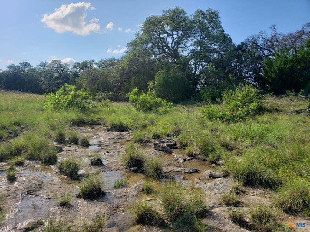 Lot 5 CR 1255 Pitt Creek Ranch, Lampasas, TX 76550