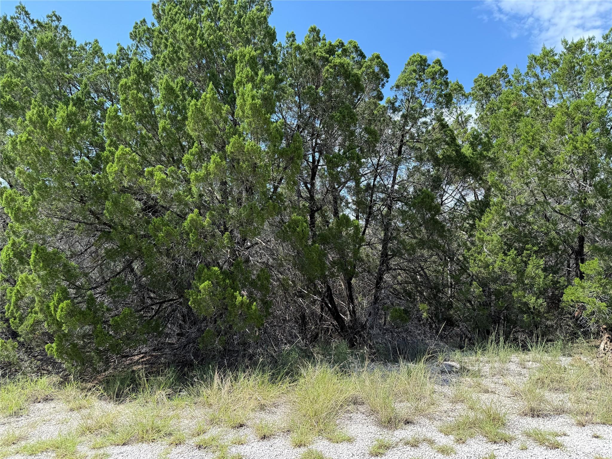 20000 Continental Cv, Lago Vista, TX 78645