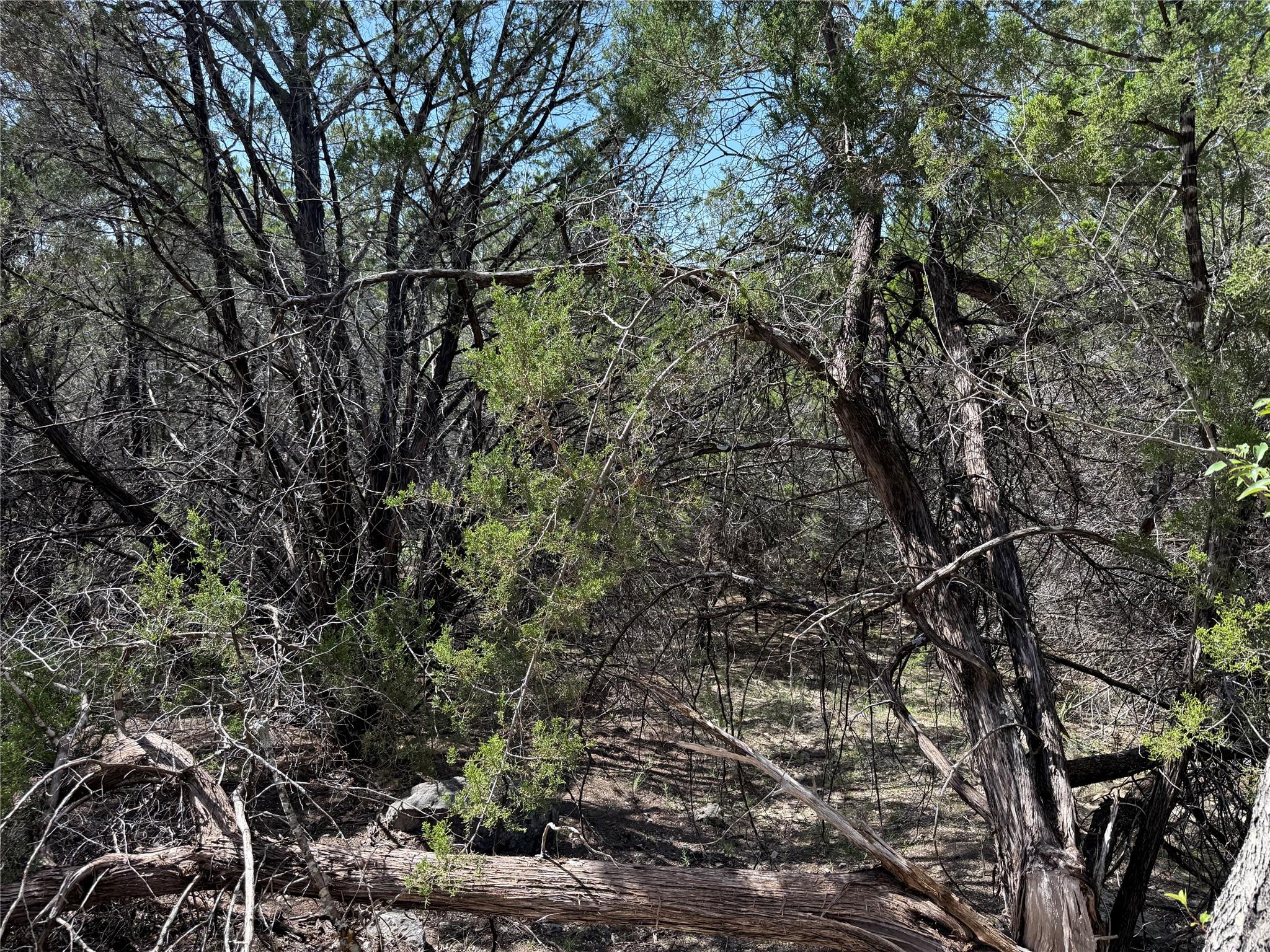 20000 Continental Cv, Lago Vista, TX 78645