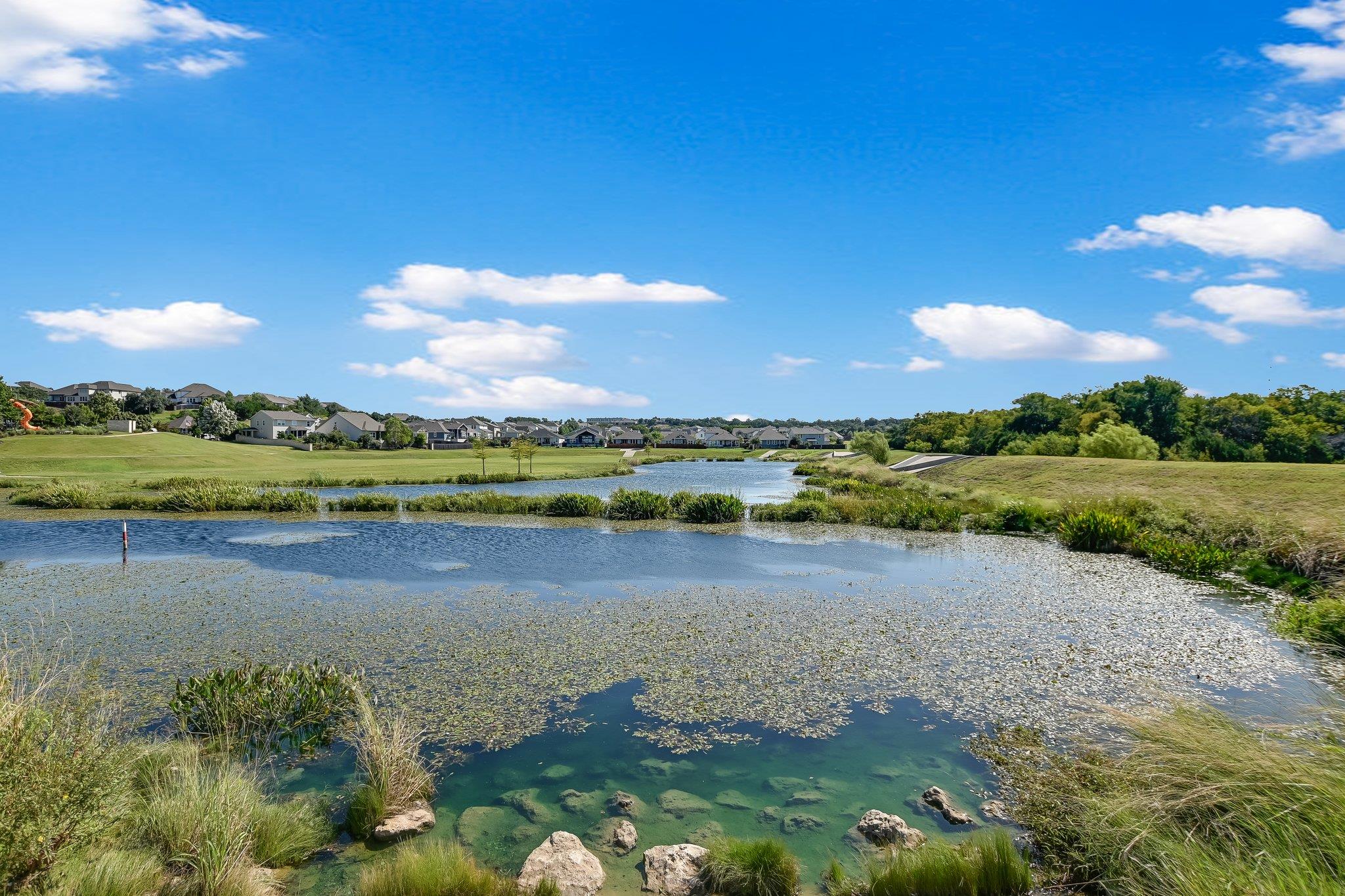 157 Fire Wheel Pass, Liberty Hill, TX 78642