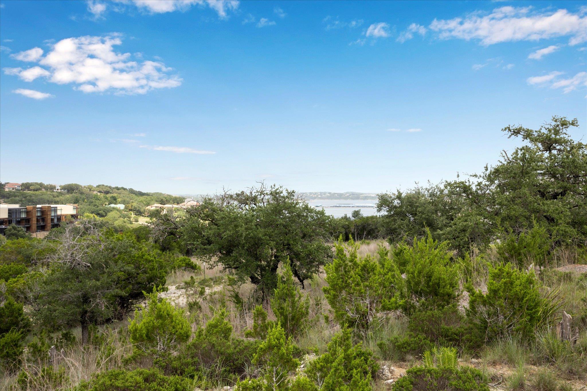 18108 Cedar Sage Ct, Lago Vista, TX 78645