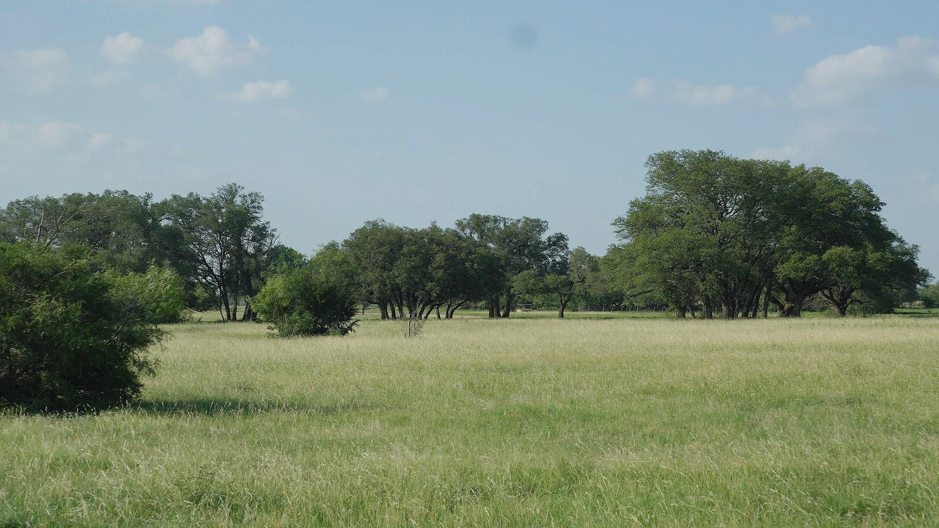 TBD Lot 7 County Rd 210, Bertram, TX 78605
