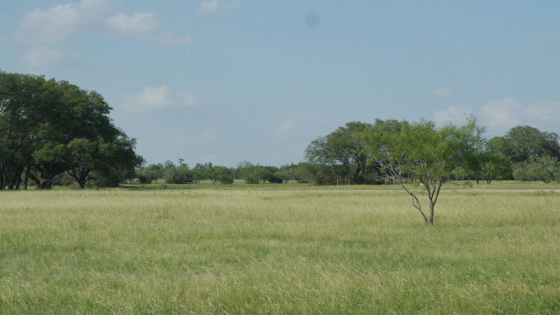 TBD Lot 7 County Rd 210, Bertram, TX 78605